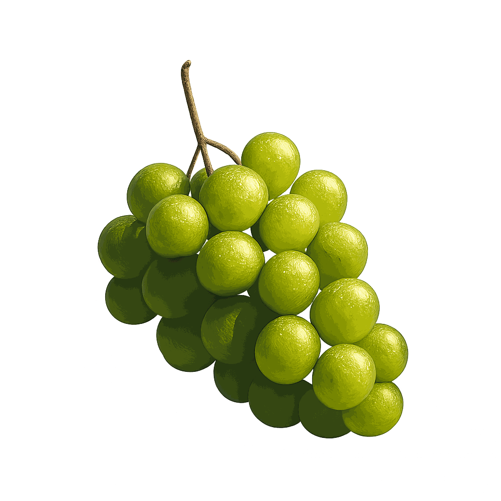 Muscat grape